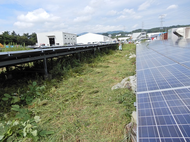 太陽光発電システム周りの草刈り1